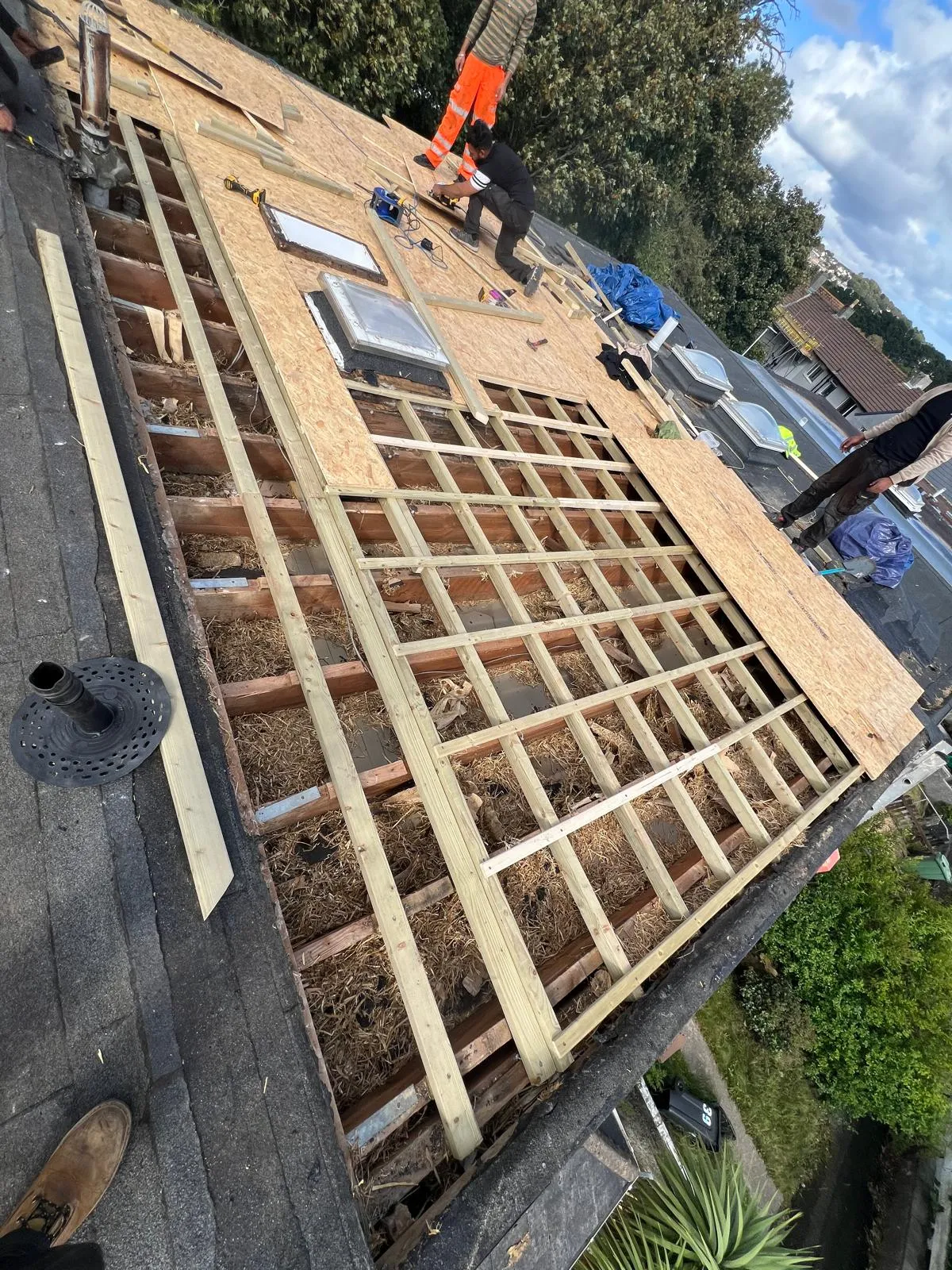 New Roofs 